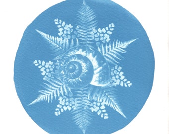Cove Creek, Cyanotype Art, Giclée Print of Original, Ferns and Snail, Botanical, Mandala, Photography, Blueprint, Nature Art, Woodland Print