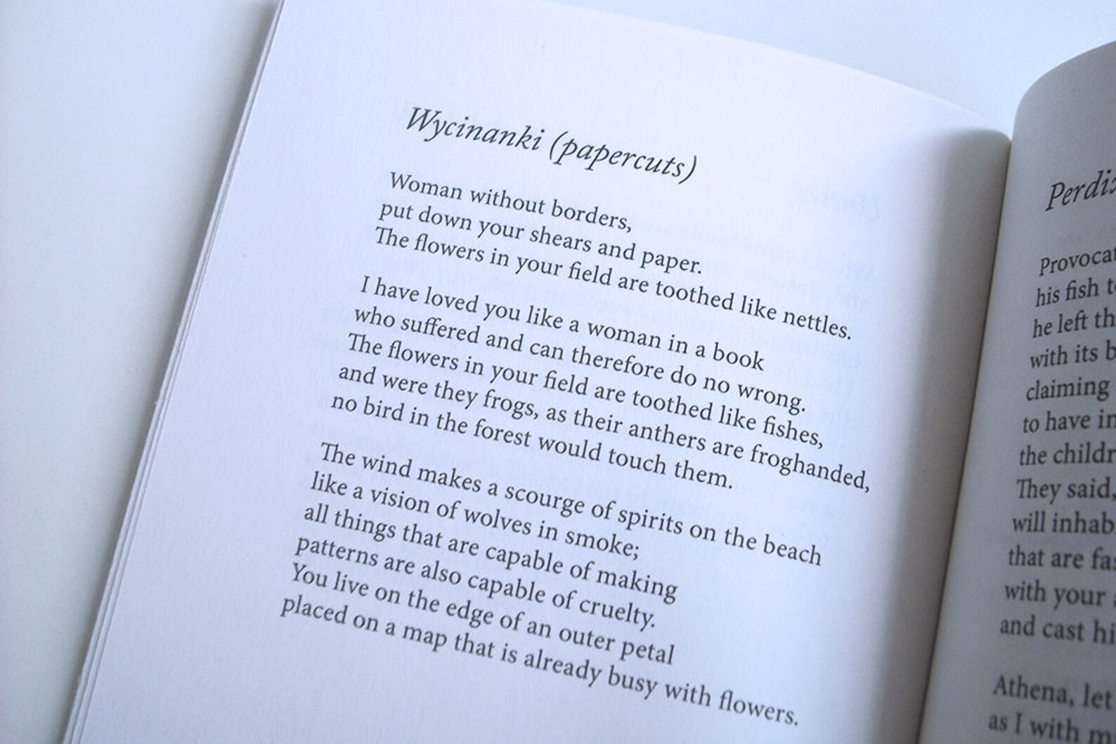 Polish Heritage Poems Imagining the Journey of a Babcia Etsy