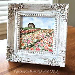 May include: A small square watercolor painting in a distressed white ornate frame. The artwork depicts a field of vibrant orange and pink flowers under a blue sky, with a dark barn in the distance featuring the text Farm Soergel.