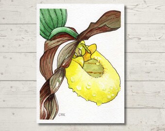 Yellow Lady's Slipper Native Orchid Art: Original Watercolor Painting 4.5" x 6"