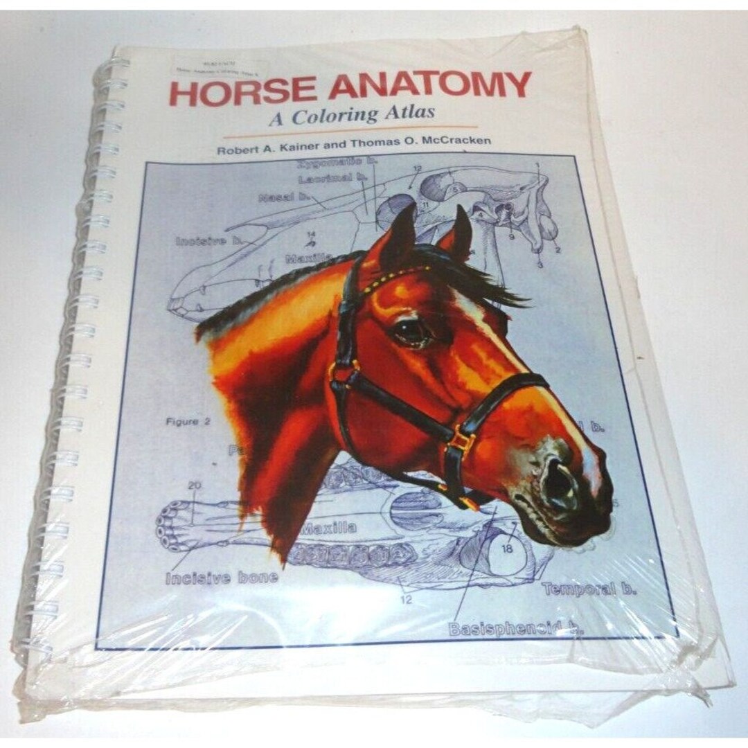Horse Anatomy: A Coloring Atlas, 2nd Edition by Robert A. Kainerthomas ...