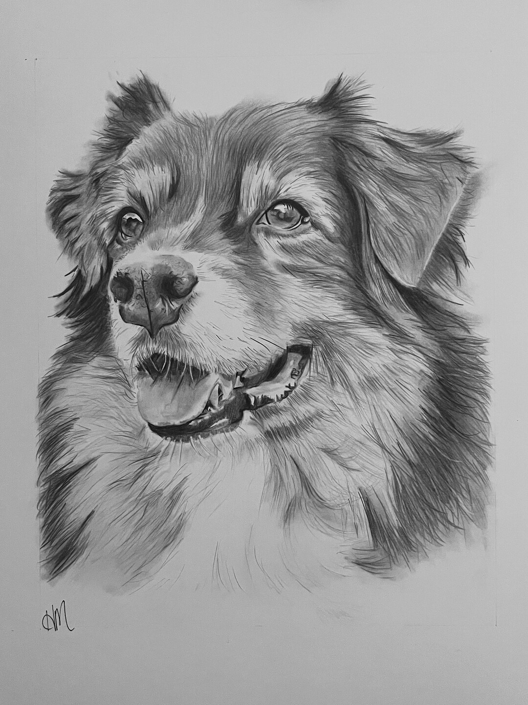 8x10 Pet Portrait Custom Pencil Drawing - Etsy