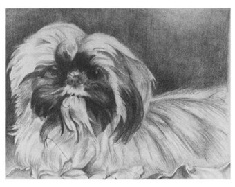 Pet portrait drawing/Custom drawing/Custom dog art/Custom animal art/Animal drawing