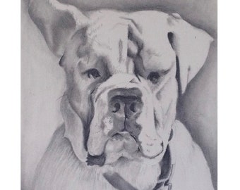 Pet portrait drawing/Custom drawing/Custom dog art/Custom animal art/Animal drawing