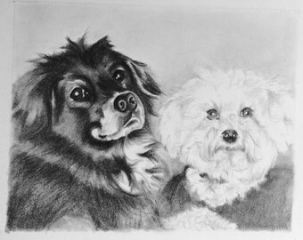 Pet portrait drawing/Custom drawing/Custom dog art/Custom animal art/Animal drawing