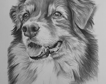 Pet portrait drawing/Custom drawing/Custom dog art/Custom animal art/Animal drawing