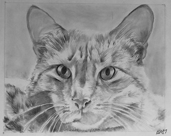 Pet portrait drawing/Custom drawing/Custom dog art/Custom animal art/Animal drawing