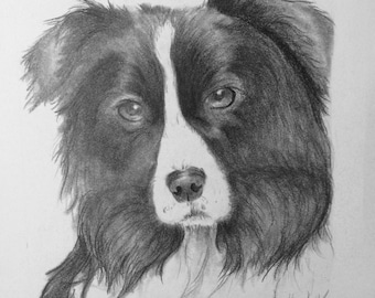 Pet portrait drawing/Custom drawing/Custom dog art/Custom animal art/Animal drawing