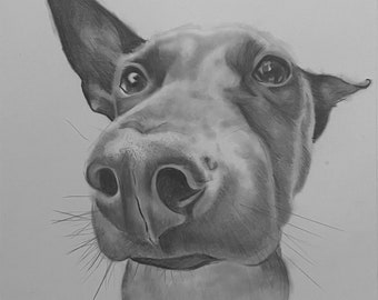 Pet portrait drawing/Custom drawing/Custom dog art/Custom animal art/Animal drawing