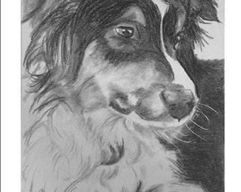 Pet portrait drawing/Custom drawing/Custom dog art/Custom animal art/Animal drawing