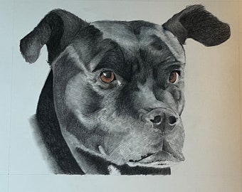 Pet portrait drawing/Custom drawing/Custom dog art/Custom animal art/Animal drawing