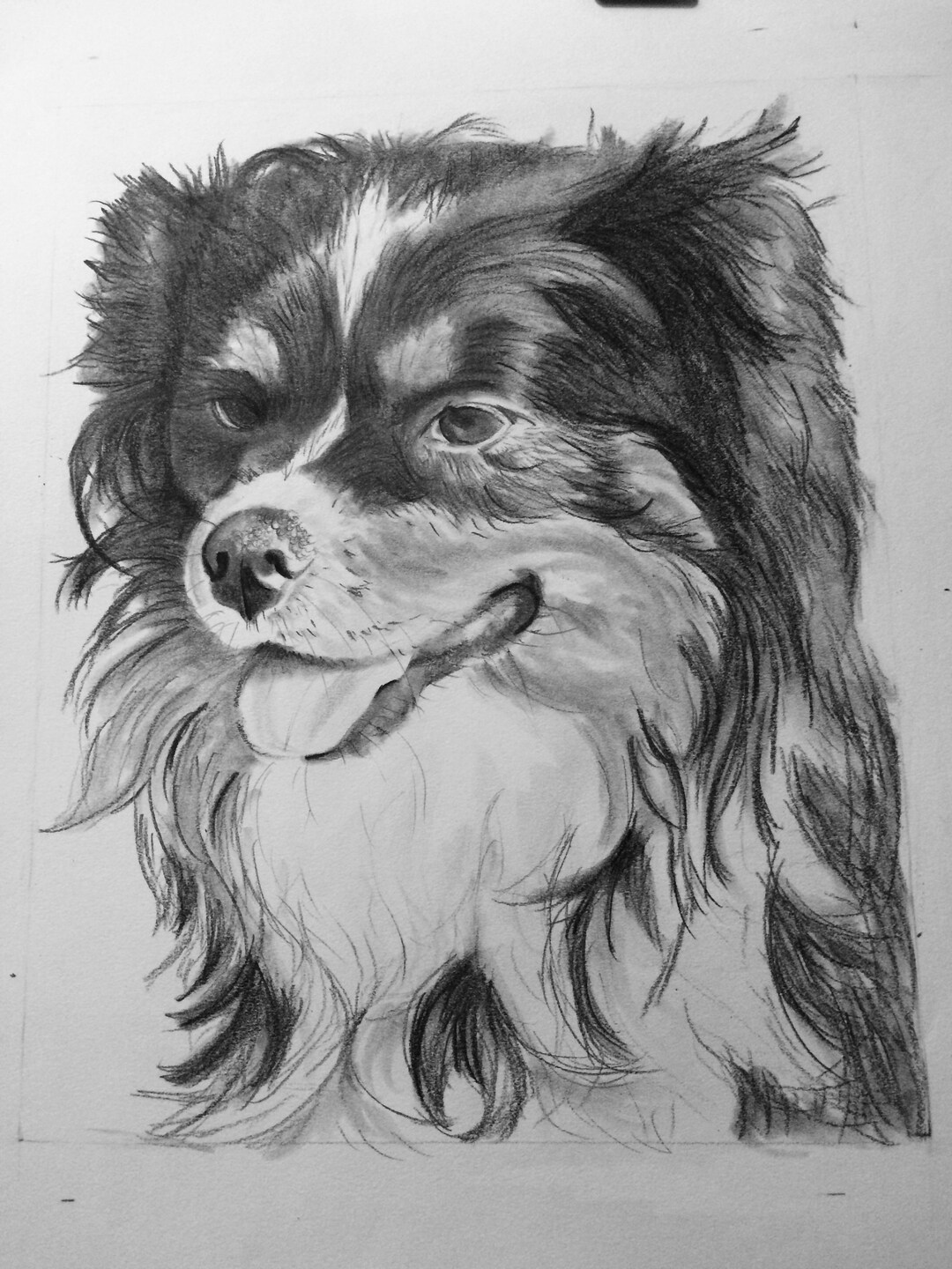 Pet Portrait Drawing/custom Drawing/custom Dog Art/custom Animal Art/animal Drawing Etsy