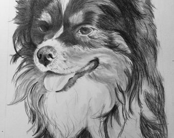 Pet portrait drawing/Custom drawing/Custom dog art/Custom animal art/Animal drawing