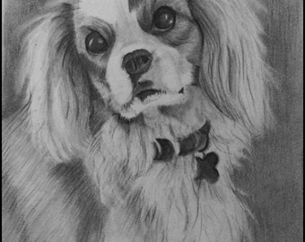 Pet portrait drawing/Custom drawing/Custom dog art/Custom animal art/Animal drawing