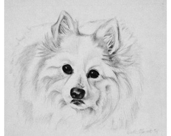 Pet portrait drawing/Custom drawing/Custom dog art/Custom animal art/Animal drawing