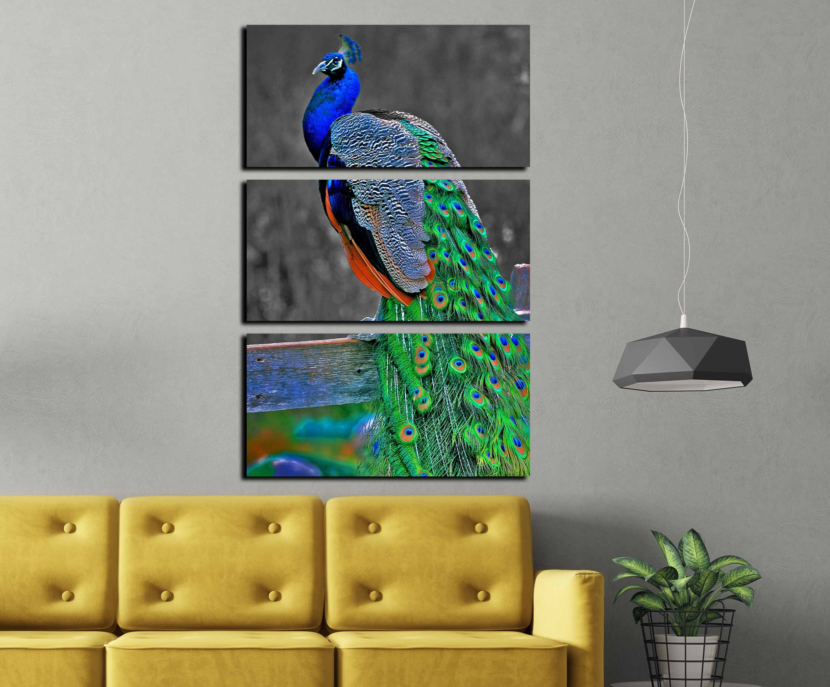 peacock wall art canvas print, peacock art print, peacock wall decor