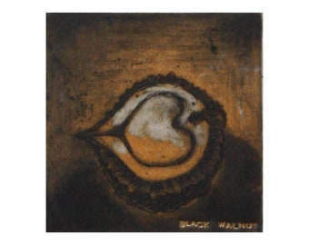 Black Walnut