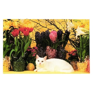 carte postale vintage chat North Shore Animal League par Mary Bloom