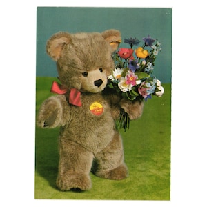Teddy Bear Postcards - Etsy