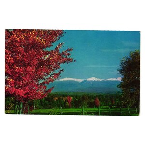 May include: Vintage postcard featuring a scenic landscape. A vibrant red tree is on the left, with a backdrop of snow-capped mountains under a blue sky. Green fields and trees fill the mid-ground, creating a picturesque view.