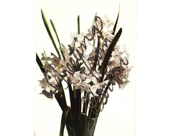 Antique Postcard Narcissus Flowers MacFarlane 1907 Greetings From Berlin Glitter