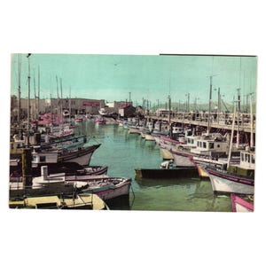 Cartolina d'epoca degli anni '40 del Fisherman's Wharf di San Francisco, Little Italy Boat Dock