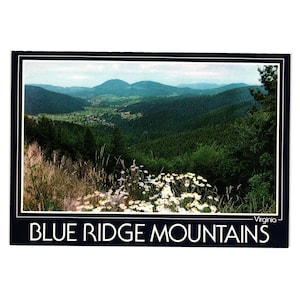 Vintage Blue Ridge Mountain Virginia Postcard Scenic View Travel Roadside Flower