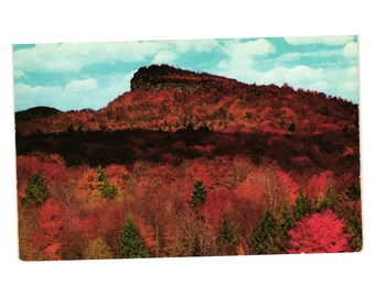 Indian Head New Hampshire Postcard Mountain Reproduction Vintage Scenery Desert