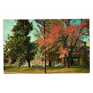 Vintage Postkarte Lock Haven State College PA Herbstlandschaft Klassische Autos Schulen