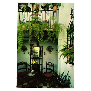 Vintage Sevilla Barrio Santo Cruz Patio Carte Postale Voyage Espagne Tourisme Plantes