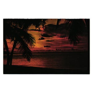 Vintage Florida Sunset Postkarte Abend Palmen Urlaub Strand Ozean Sonnenuntergang