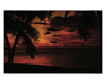 Vintage Florida solnedgångsvykort kväll palmer semester strand hav solnedgång
