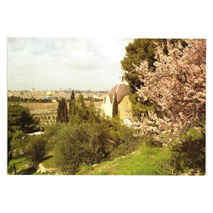 Cartolina d'epoca della Cappella del Dominus Flevit di Gerusalemme con vista sulla città e sui fiori di ciliegio