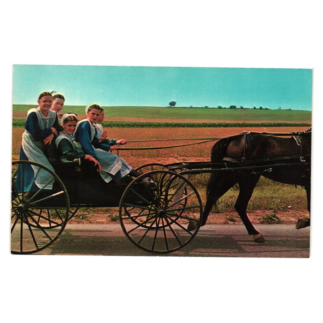 アーミッシュカントリーの馬車ポストカード ヴィンテージ 1962年 少女
