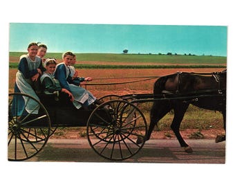 アーミッシュの家族のポストカード 1989年 裸足の子供たち 馬車 地元の