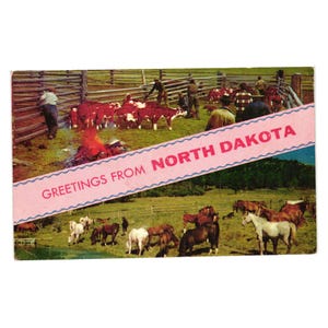 May include: Vintage postcard with a pastoral scene of North Dakota. The image features cattle and cowboys near a wooden fence, with a fire burning. The lower portion shows horses grazing in a field. Text reads "GREETINGS FROM NORTH DAKOTA."