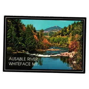 May include: A vintage postcard depicting the Ausable River and Whiteface Mountain. The image shows a river winding through a forest with colourful autumn leaves. The postcard has a black border and the text reads "AUSABLE RIVER WHITEFACE MT."