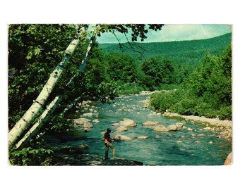 Vintage Martin Michigan ansichtkaart Fisherman Scene Nostalgisch verzamellandschap