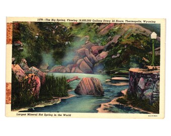 Vintage Postcard Big Spring Thermopolis Wyoming Largest Mineral Hot Spring
