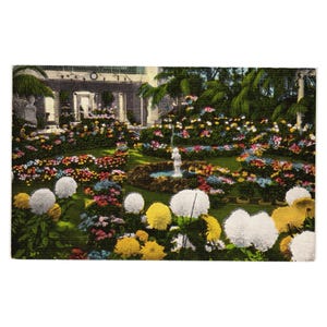 Carte postale vintage Chrysanthème présentoir boîte à bijoux Forest Park St Louis MO Linge de maison
