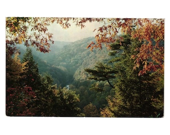 Vintage Hills In Autumn Bucyrus Ohio Scenic Postcard Unused Color Photography