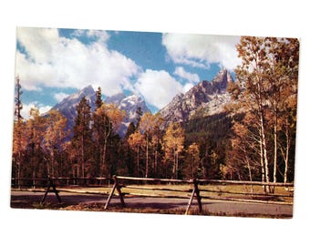 Union Pacific Railroad Grand Teton Wyoming Vintage Pictorial Postcard Scenic