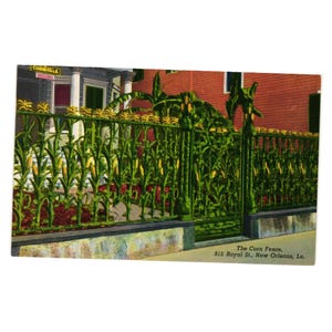 Puede incluir: Postal vintage que muestra la Corn Fence en Nueva Orleans. La valla metálica verde está diseñada con tallos y mazorcas de maíz. El fondo muestra un edificio con fachada de ladrillo rojo y un letrero que dice "Cornstalk".