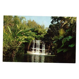 Vintage Disneyland Postcard Schweitzer Falls Adventureland Waterfall Vacation