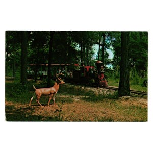 Carte postale vintage South Of The Border Train Deer Carolina Haut-Mexique Robinson