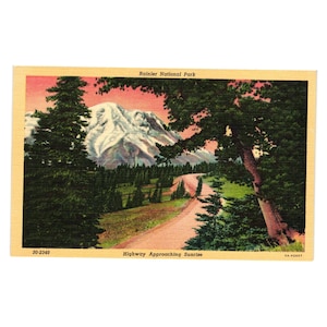 Carte postale vintage Parc national Rainier Linge de maison Sunrise Ridge White River