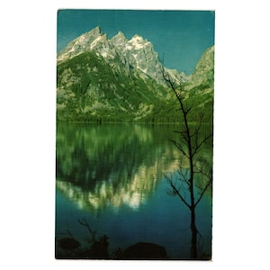 Carte postale vintage Jenny Lake Parc national de Grand Teton Wyoming Mountain Snow
