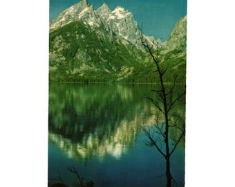 Carte postale vintage Jenny Lake Parc national de Grand Teton Wyoming Mountain Snow