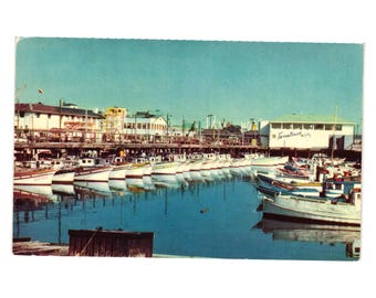 Fisherman Wharf San Francisco Vintage ansichtkaart kleurenfoto boten Tarantinos jaren 50