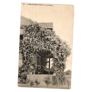 Könnte beinhalten: Vintage Postkarte mit einer rosenbedeckten Veranda in Kalifornien. Das Schwarz-Weiß-Bild zeigt ein Haus mit einer Veranda, die vollständig von Kletterrosen bedeckt ist. Der Text oben lautet "57 - A rose covered porch in California."